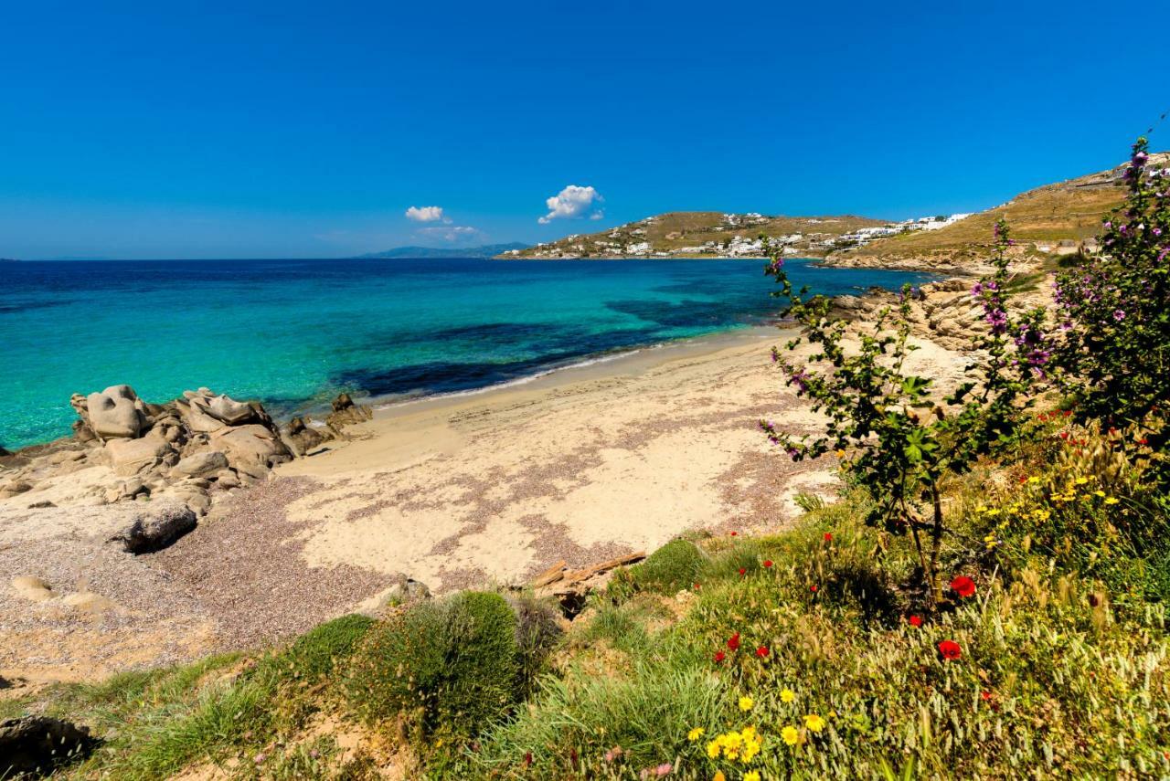 Amorous Luxury Villa Agios Ioannis Diakoftis Εξωτερικό φωτογραφία